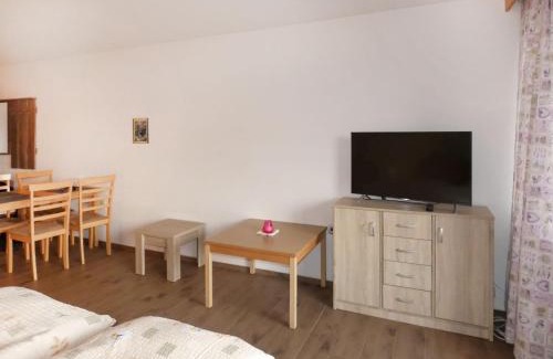Haidmuhle Apartment | Apartment Hochstein by Interhome