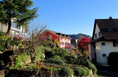 Wald Apartment | Apartment in a beautiful panoramic location in the forest in the Zurich Oberland