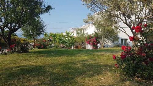 Ljubac Apartment | Apartment in Ljubac with sea view, balcony, air conditioning, WiFi 809-3