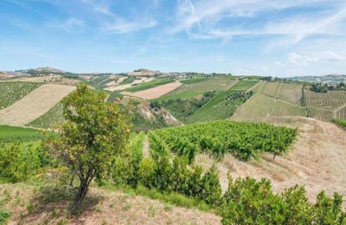 San Savino Apartment | Apartment in Marche near Grottammare Beach