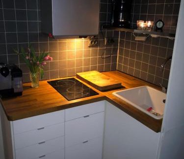 Hammarby Sjostad Apartment | Apartment in So-Fo at Södermalm 24sqm