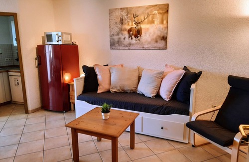Todtnauberg Apartment | Apartment in the southern Black Forest with indoor pool + sauna, skiing and hiking paradise