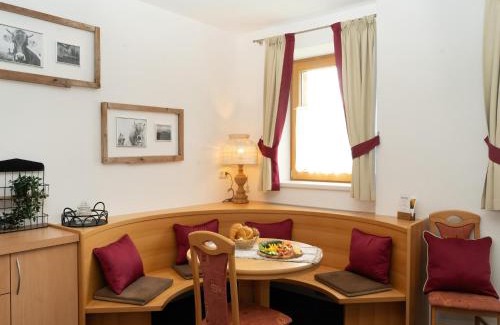 Navis Apartment | Apartment in Tyrol near Ski Slopes