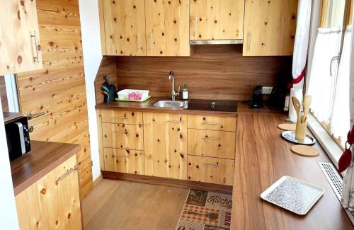 Navis Apartment | Apartment in Tyrol near Ski Slopes