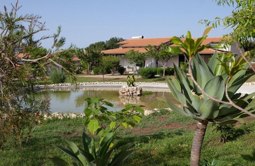 Ricadi Apartment | Apartment for 4/6 people with shared pool, a few km from the beach and Tropea