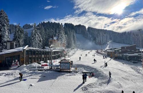 Borovets Apartment | Apartment IVA - Iglika 2