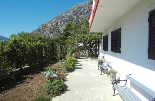 Orahovac Apartment | Apartment Ivana