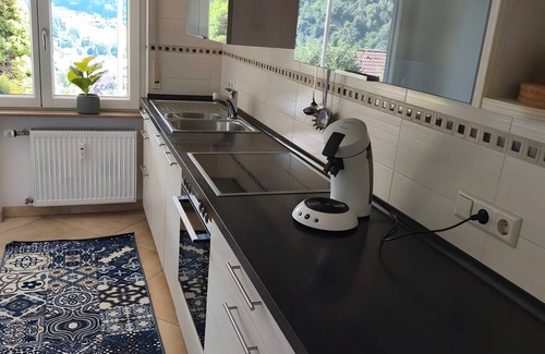 Wolfach Apartment | Apartment 'Kinzigtalblick' with Mountain View, Private Terrace and Wi-Fi