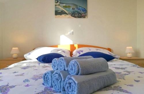 Banici Apartment | Apartment Kola with balcony