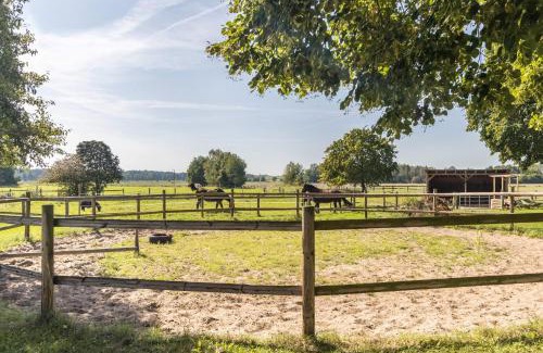 Hankensbuettel Apartment | Apartment Lüneburger Heide