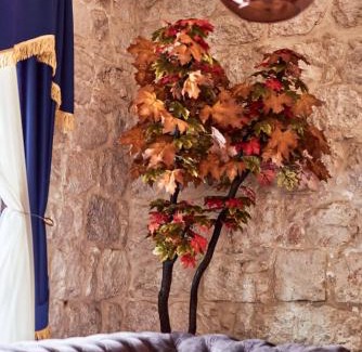 Skaljari Apartment | Apartment Lav in the City Centre