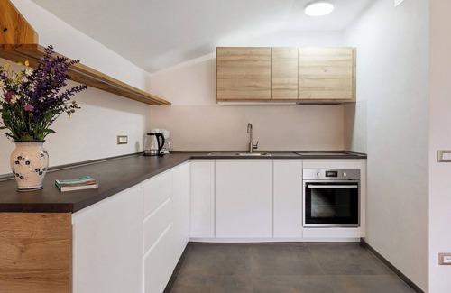 Tires Apartment | Apartment 'Leitner' with Mountain View, Private Terrace and Wi-Fi