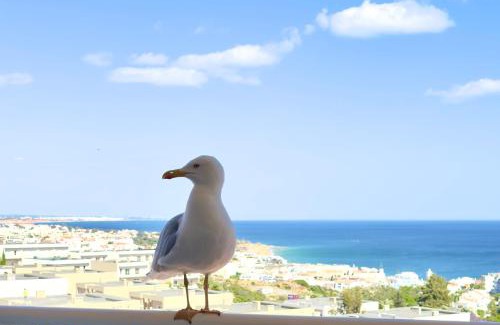Patio Apartment | Apartment Les 3 Dauphins in Albufeira