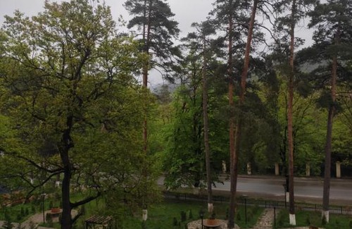 Borjomi Apartment | Apartment Likani
