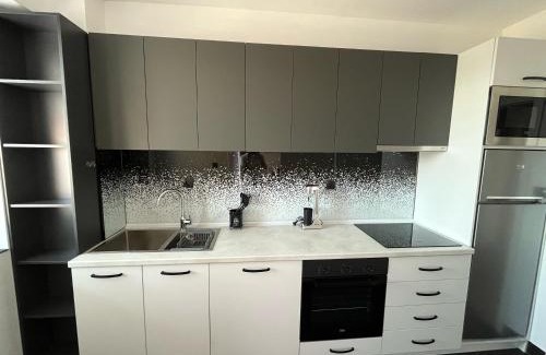 Kocani Apartment | Apartment Luka