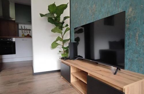 Hippach Apartment | Apartment Mayrhofen near Horbergbahn