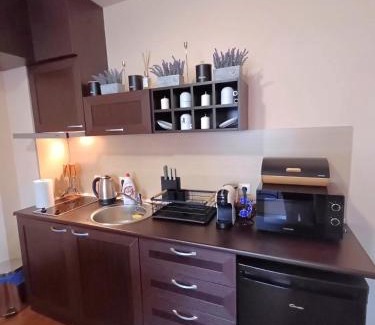 Shiligarnika Apartment | Apartment Melania in Complex Royal Towers
