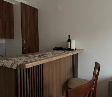 Pluzine Apartment | Apartment Melina