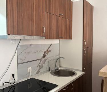 Pluzine Apartment | Apartment Melina