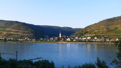 Mainz-Bingen Apartment | Apartment mit Rheinblick