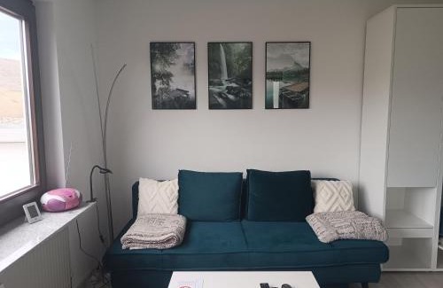 Mainz-Bingen Apartment | Apartment mit Rheinblick