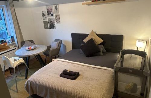 Birkenau Apartment | Apartment Nähe Weinheim HD MA Work & Travel