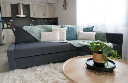 Ioannina Apartment | apartment neohoropoulo lazou