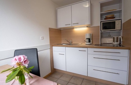 Todtnauberg Apartment | Apartment no. 8 type A, 38sqm, balcony, 1 living/bedroom, max. 2 persons