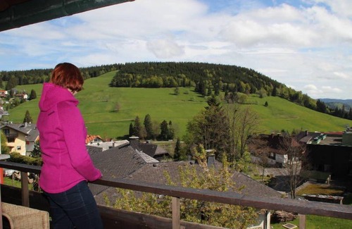 Todtnauberg Apartment | Apartment no. 8 type A, 38sqm, balcony, 1 living/bedroom, max. 2 persons