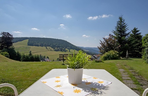 Todtnauberg Apartment | Apartment Nr. 15