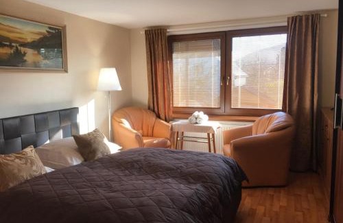 Frydlant nad Ostravici Apartment | Apartment pod Lysou