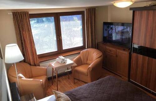 Frydlant nad Ostravici Apartment | Apartment pod Lysou
