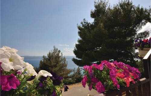 Pisak Apartment | Apartment P, Porta I