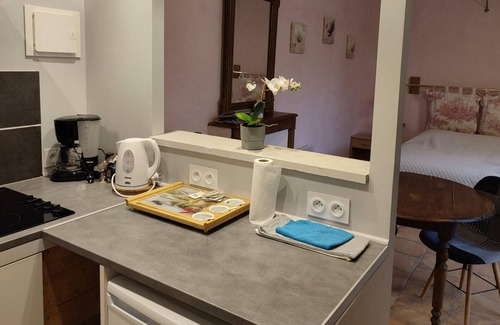 Pontlevoy Apartment | Apartment Pontlevoy, 1 bedroom, 2 persons