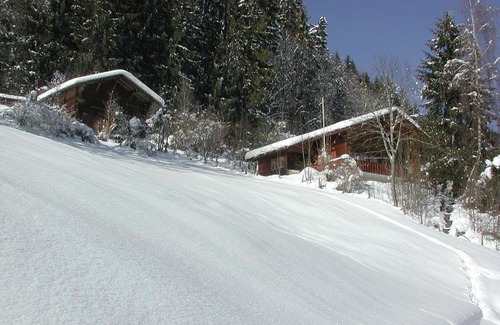 Zweisimmen Apartment | Apartment Schnäggedanz- Chalet