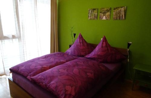 Konstanz Apartment | Apartment Schultheiss