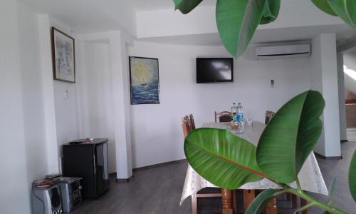 Brcko Apartment | Apartment Setaliste