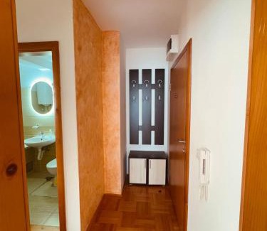 Pluzine Apartment | Apartment Silence B