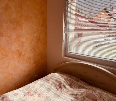 Pluzine Apartment | Apartment Silence B