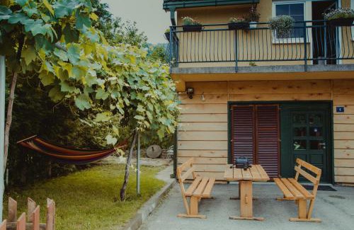 Pluzine Apartment | Apartment Silence