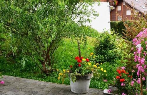 Zweisimmen Apartment | Apartment Spillgerten-Blick by Interhome