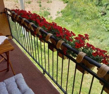 Mavrovo Apartment | Apartment Suzana