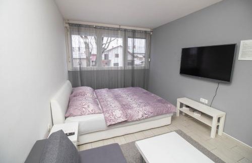 Vinkovci Apartment | Apartment Sven