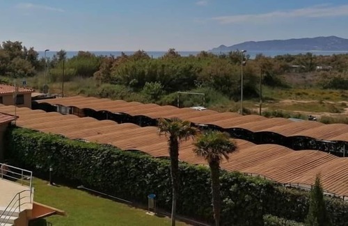 Els Griells Apartment | Apartment tamarindos 4/6 swimming pool and gardens view