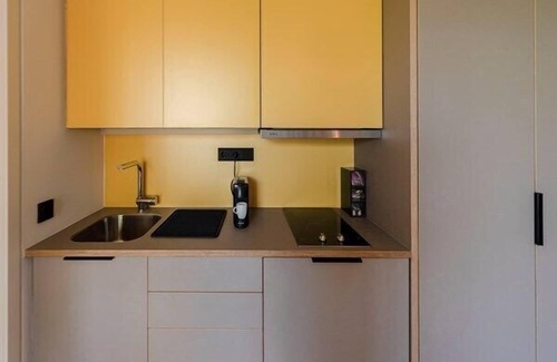 Singen Apartment | Apartment to the garden, 25 sqm, 1 living room/bedroom, terrace, max. 2 persons