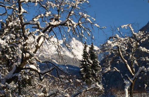 Prutz Apartment | Apartment Turala