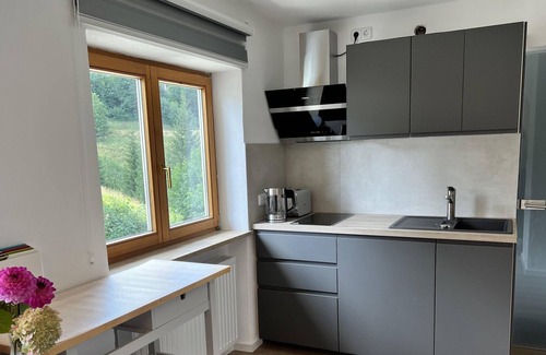 Hirschegg Apartment | Apartment upper floor with 1 bedroom - Haus Alpenblick - family Schuster