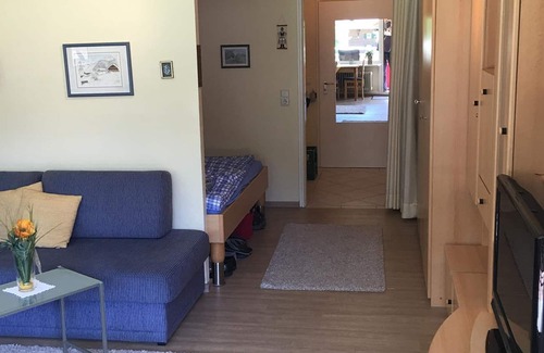 Mittelberg Apartment | Apartment View of the mountains in the aparthotel - apartment / apartment, living room / bedroom, shower / toilet