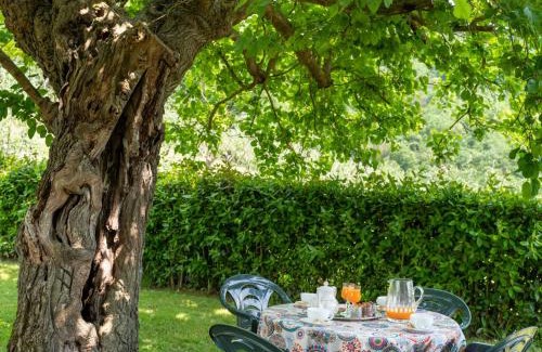 Dicomano Apartment | Apartment Vigna La Corte-5 by Interhome