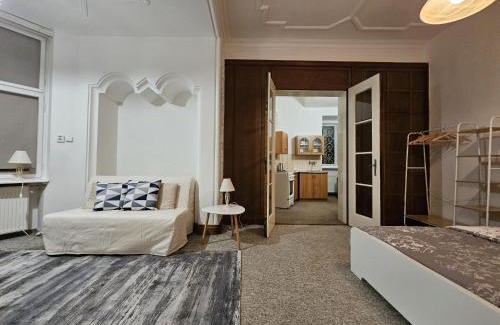 Liberec Apartment | Apartment Vila Husova